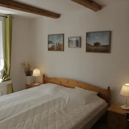 Kékmacska Nagybörzsöny