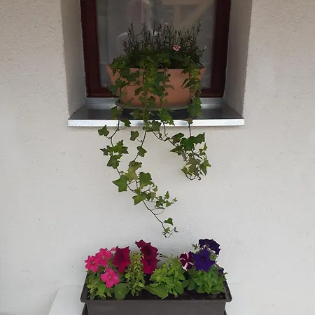 Kékmacska Nagybörzsöny Nagyborzsony