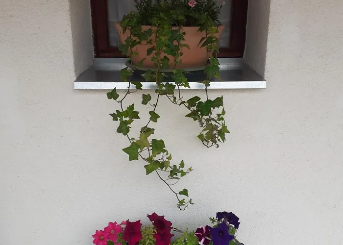 Kekmacska Vendeghaz Nagyboerzsoeny נאגיבורז'וני