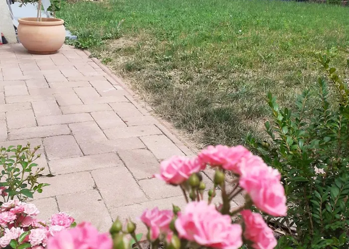 Kekmacska Vendeghaz Nagyboerzsoeny