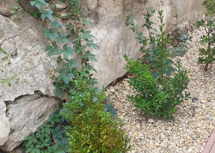 Kekmacska Vendeghaz Nagyboerzsoeny נאגיבורז'וני